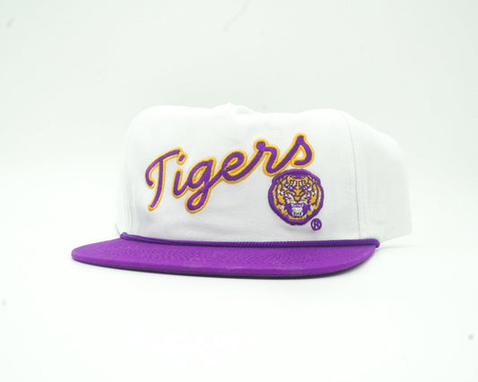 Cursive Tigers w/ Mike the Tiger
