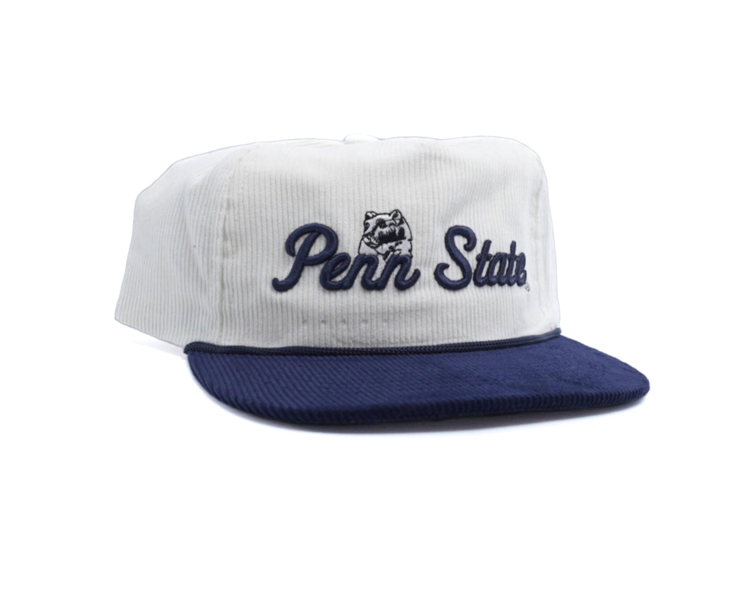 Cursive Penn State Hiding Lion